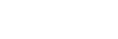 FLIR Systems